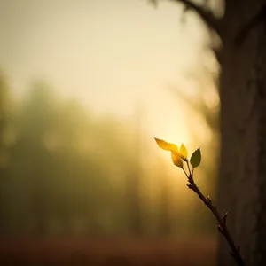 Vibrant Sunlit Tree in Tranquil Spring Landscape