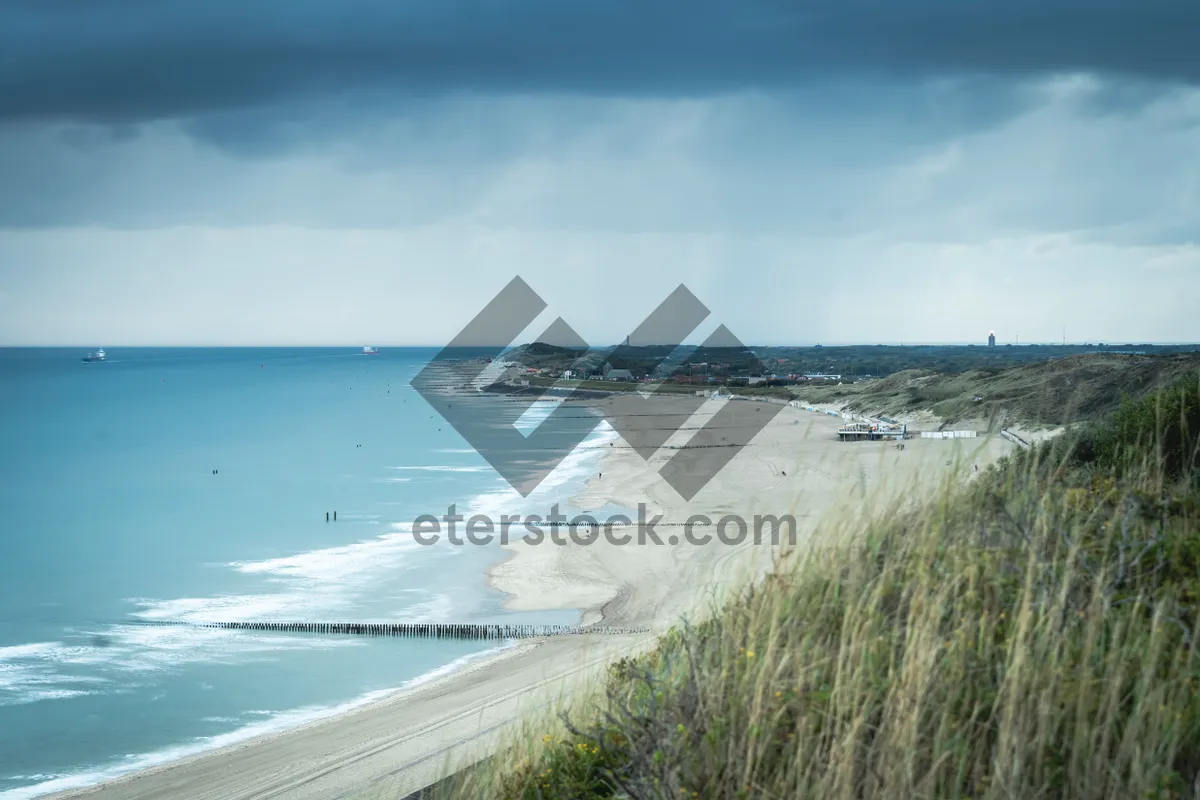 Picture of Tropical beach paradise with sunny blue sky and waves.