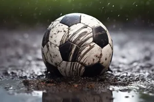 Soccer ball on grass field during game.