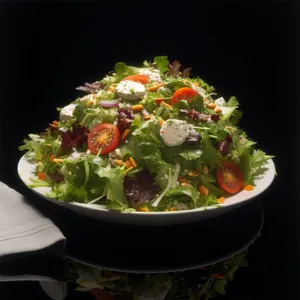 Delicious gourmet vegetable salad with cheese