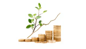 Golden money stack with bamboo plant and coins