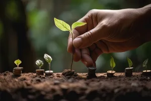 Hand holding new tea plant seedling in soil