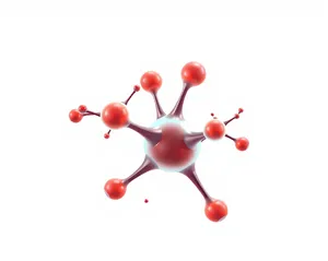 3D Holly Group