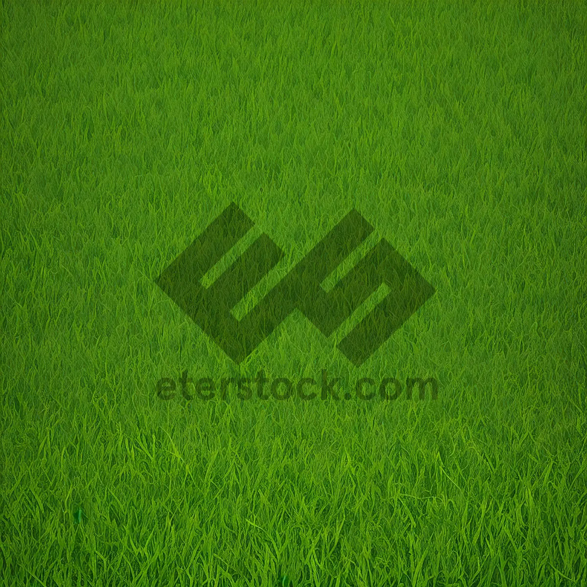 Picture of Vibrant Summer Meadow with Lush Greenery