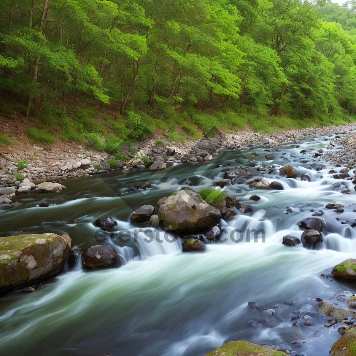 Picture of Serene Autumn Flow in Wilderness