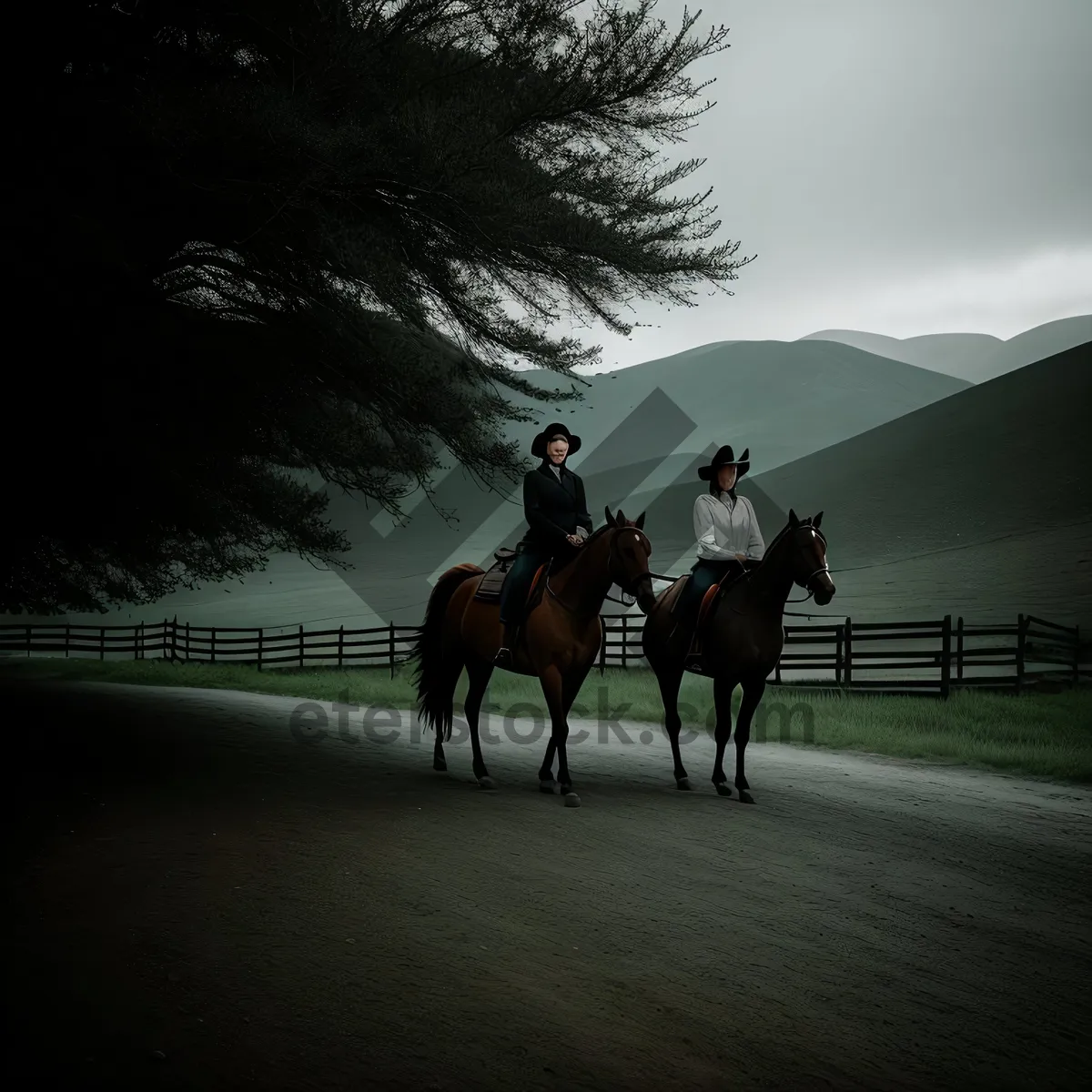 Picture of Thoroughbred Silhouette Gracefully Vaulting the Sunset Sky