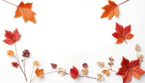Japanese Maple Floral Frame for Autumn Season Card