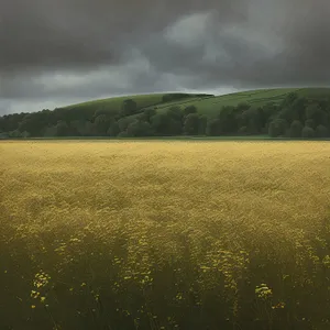 Vibrant summer countryside landscape with rolling meadows.