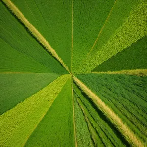 Vibrant Green Leaf Pattern with Light Texture