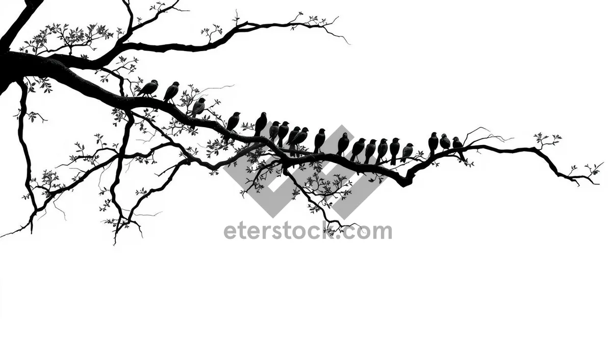 Picture of Black floral leaf design element silhouette decoration.