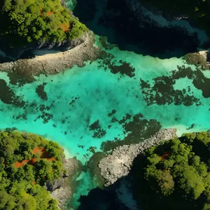 Vibrant marine life in breathtaking coral reef
