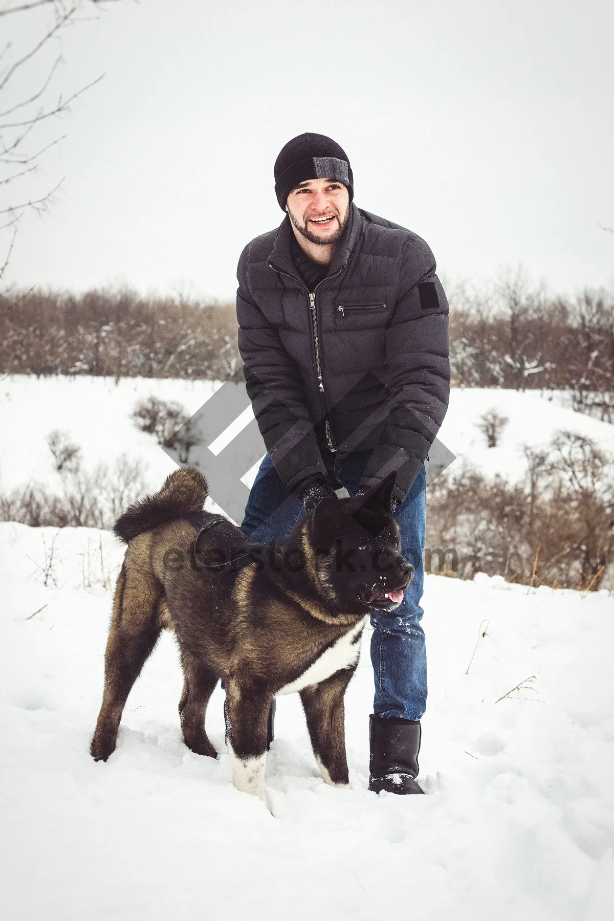 Picture of Happy man skiing with dog in snowy forest landscape.