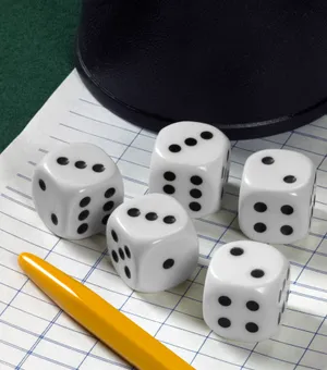 Game of dice: Play, gamble, win, risk