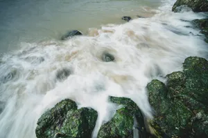 River Waterfall with Domestic Dog Canine Watchdog Hound