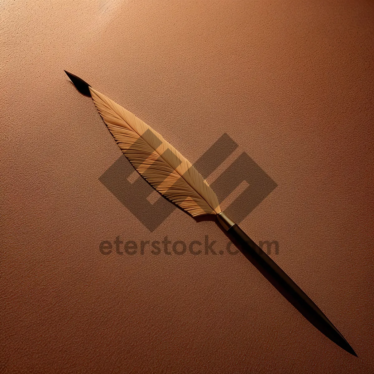 Picture of Writing Tools: Quill and Pen Close-Up