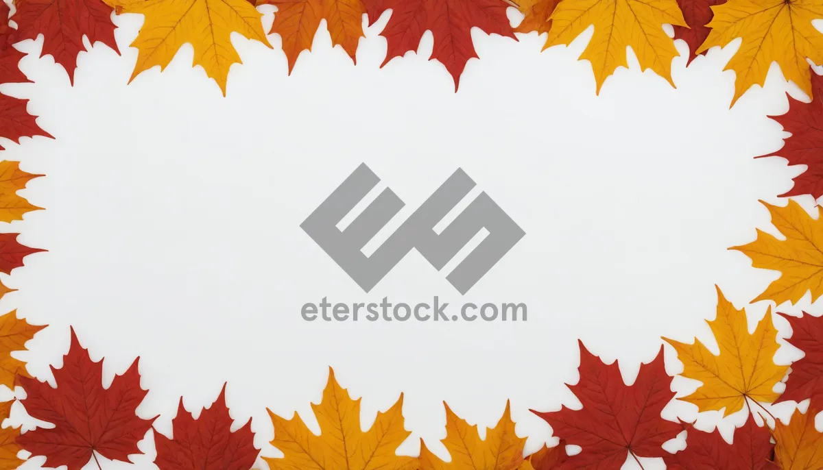 Picture of Autumn Foliage Frame - Orange and Yellow Leaves