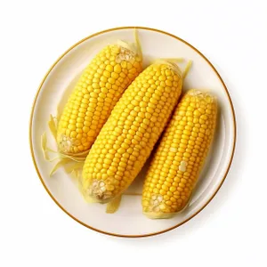 Fresh Sweet Corn Cob, Healthy Gourmet Snack