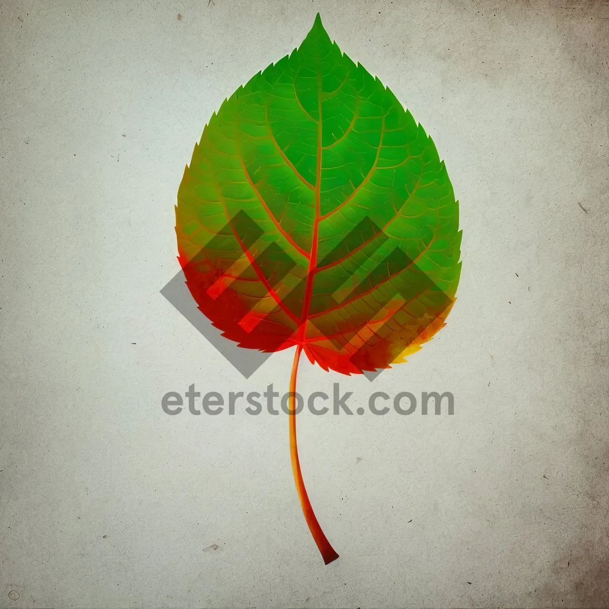 Picture of Exquisite Flamingo Flower - Vibrant Bud and Leaf