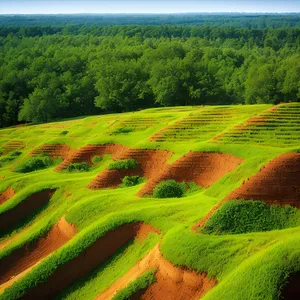 Idyllic Countryside Scene with Green Fields and Rolling Hills