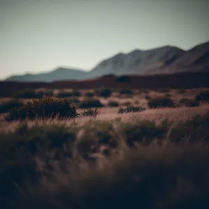 Mountain Sunset Over Desert Landscape