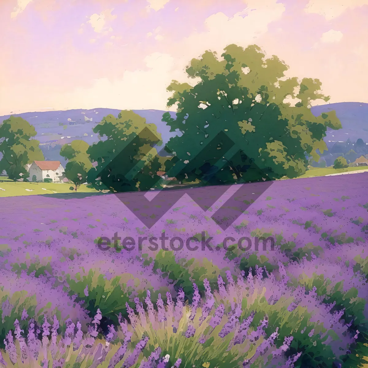 Picture of Blooming Lavender Shrub in Lush Countryside Field