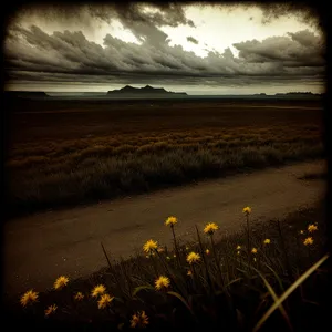 Golden Sunset over Vast Rural Meadow