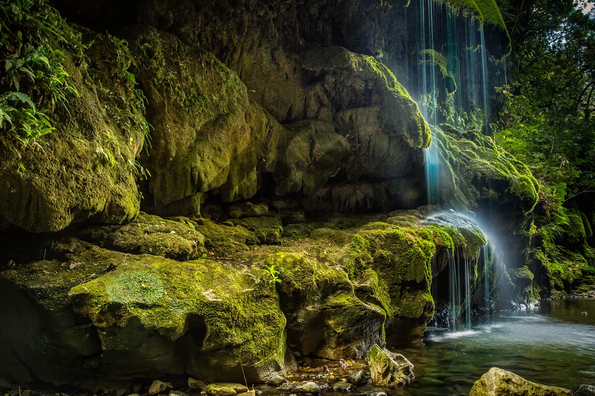 Picture of Mountain Stream Flowing Through Peaceful Forest Landscape