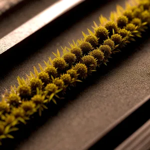 Close-up of yellow sunflower and ant