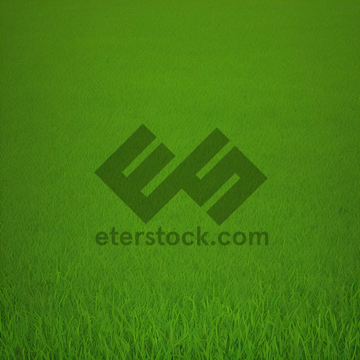 Picture of Vibrant Green Meadow: Refreshing Summer Grass Texture