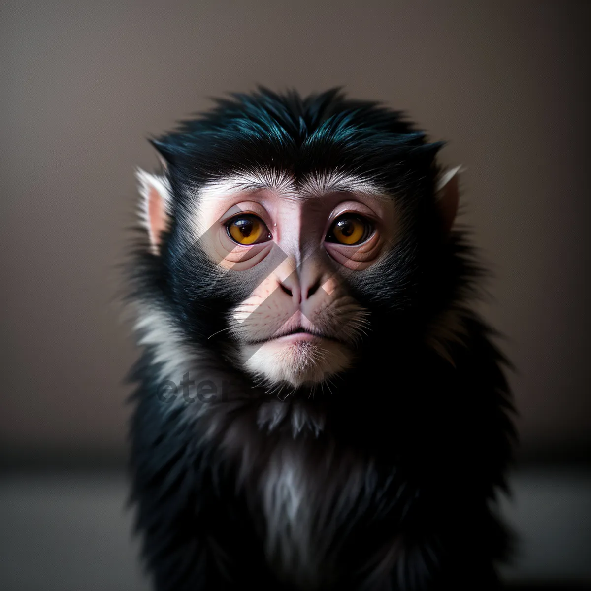 Picture of Cute Primate with Captivating Eyes