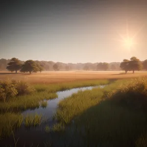 A Serene Summer Sun Over Countryside Landscape