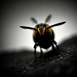 Colorful Insect on Yellow Flower