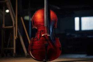 Classic string performance with viola, violin, and cello.