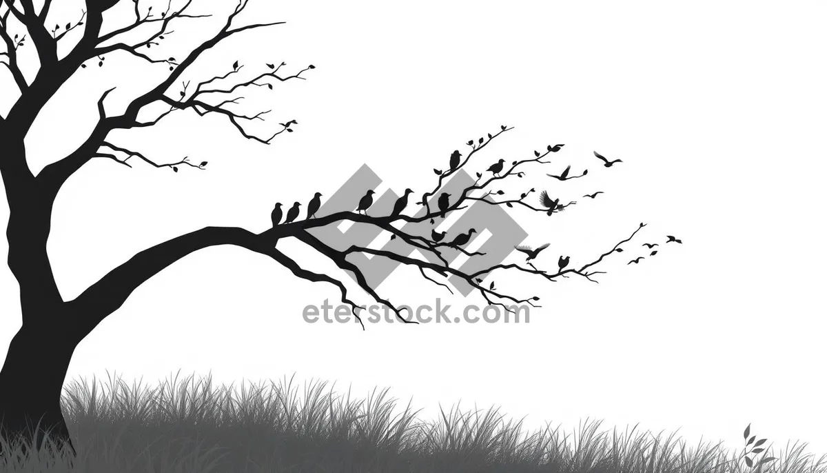 Picture of Black floral tree silhouette design with leaf branch tracing