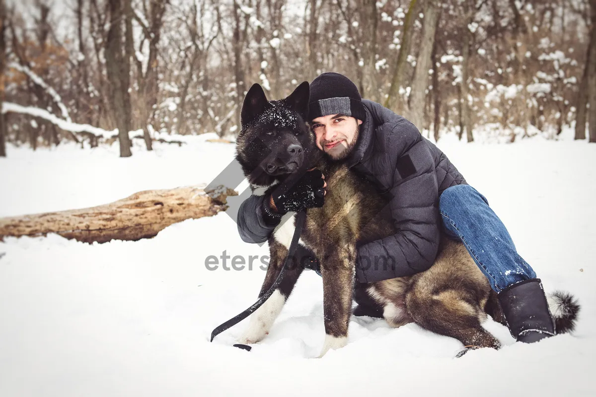 Picture of Man skiing with happy dog in snowy forest landscape