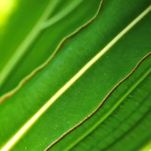 Green Onion Fractal: Vibrant Leafy Texture for Futuristic Wallpaper