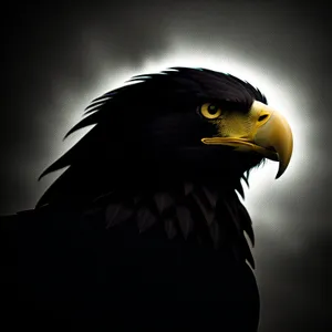 Regal Raptor: Majestic Bald Eagle Soaring with Intent