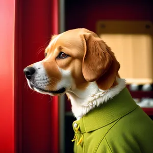 Adorable Beagle Puppy - Hunting Dog