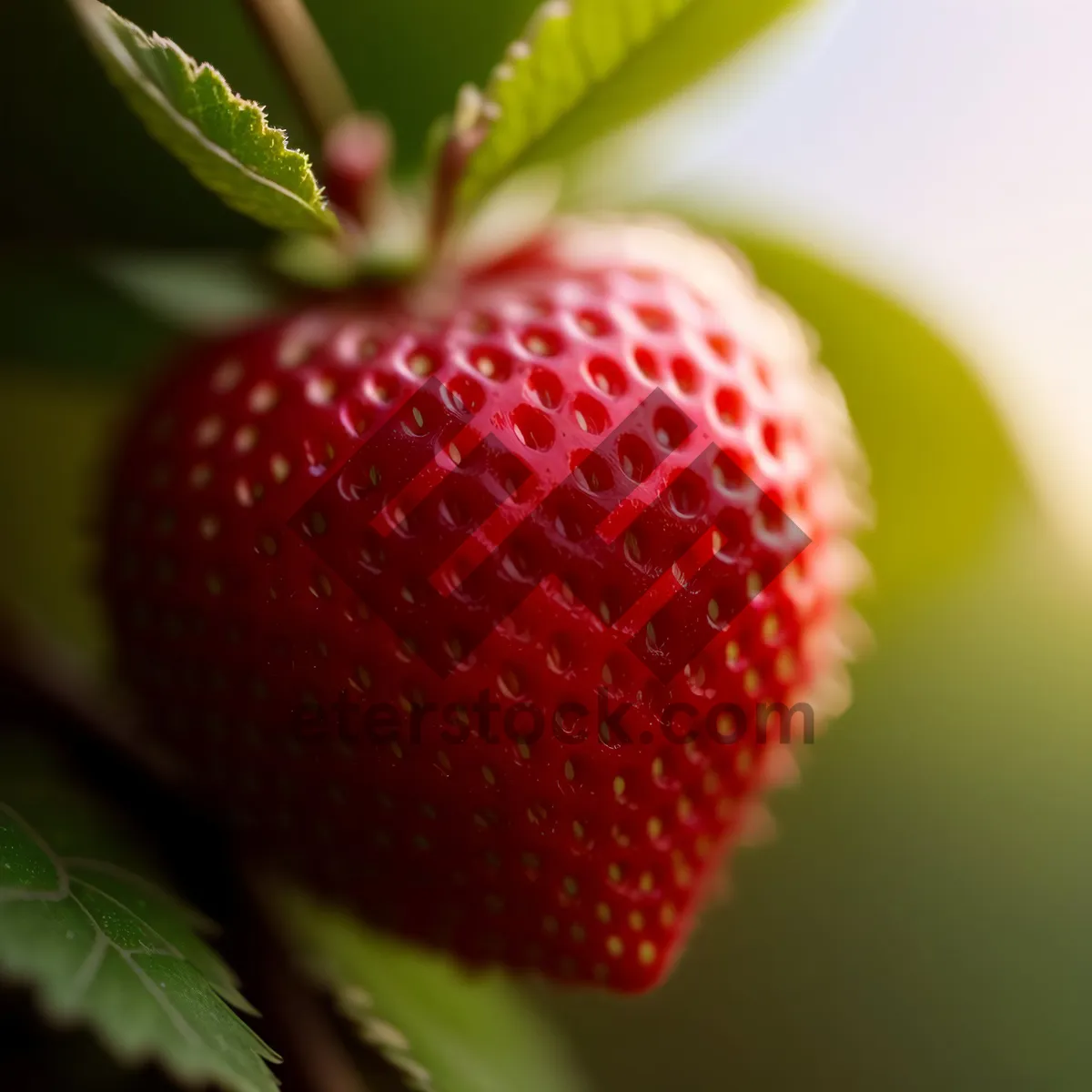 Picture of Delicious Summer Strawberry Burst