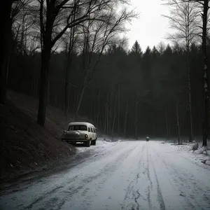 Winter Wonderland: Snowy Forest Road Adventure