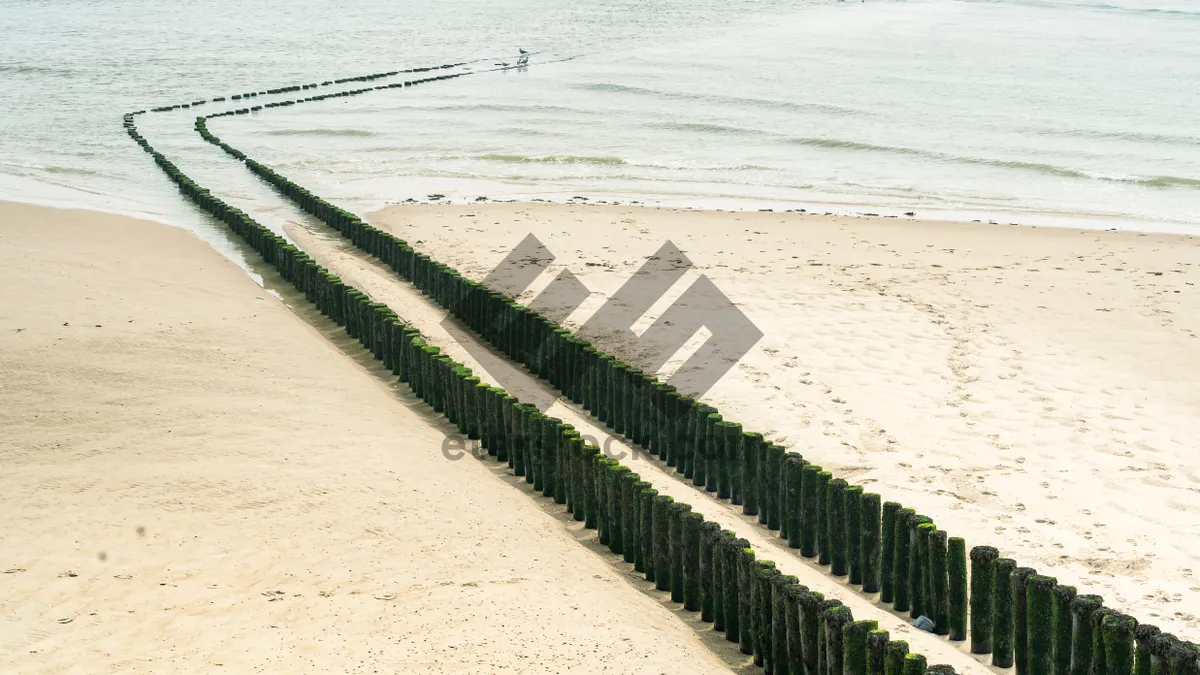 Picture of Tropical island shore with ocean waves and clouds.