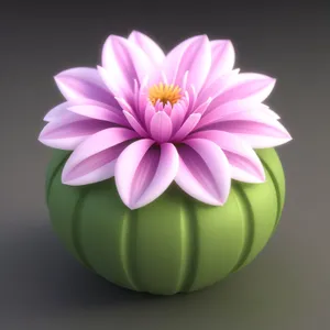 Lotus Blossom: A Delicate Floral Gift