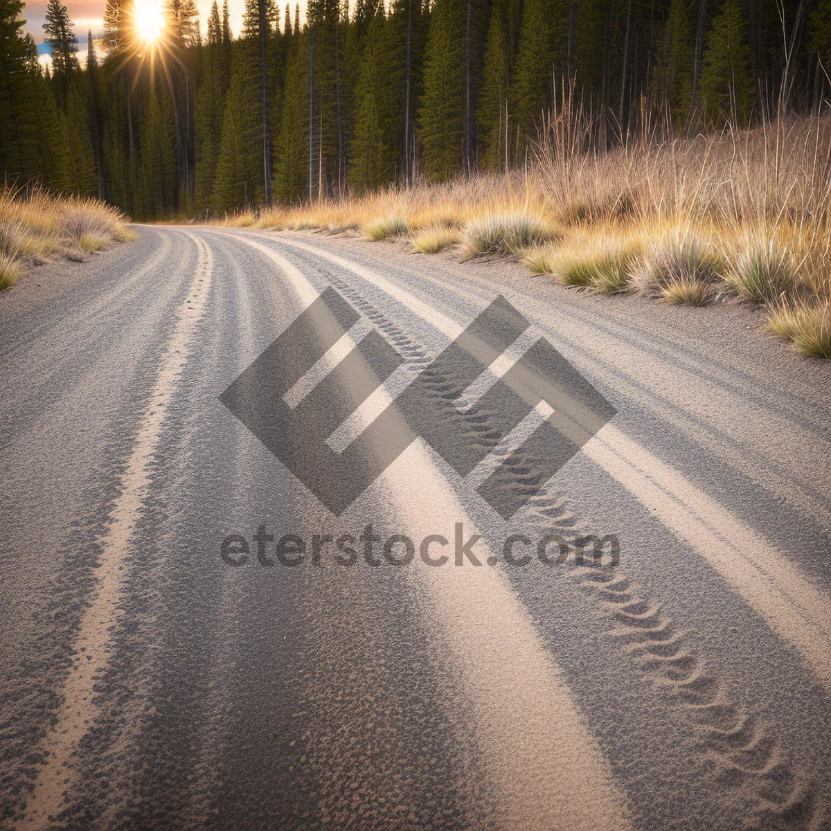 Picture of Scenic country road surrounded by lush landscapes