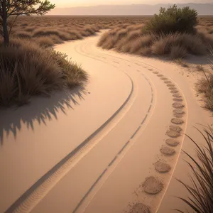 Serenity by the Shores: Sunset over Palm-Spotted Dunes