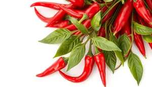 Colorful Bell Peppers for Healthy Cooking Ingredient.