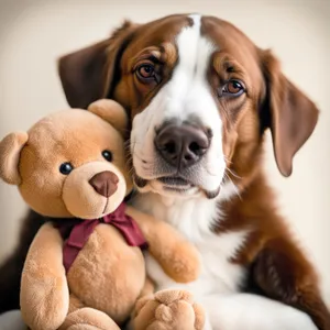 Adorable brown bull puppy in studio portrait.