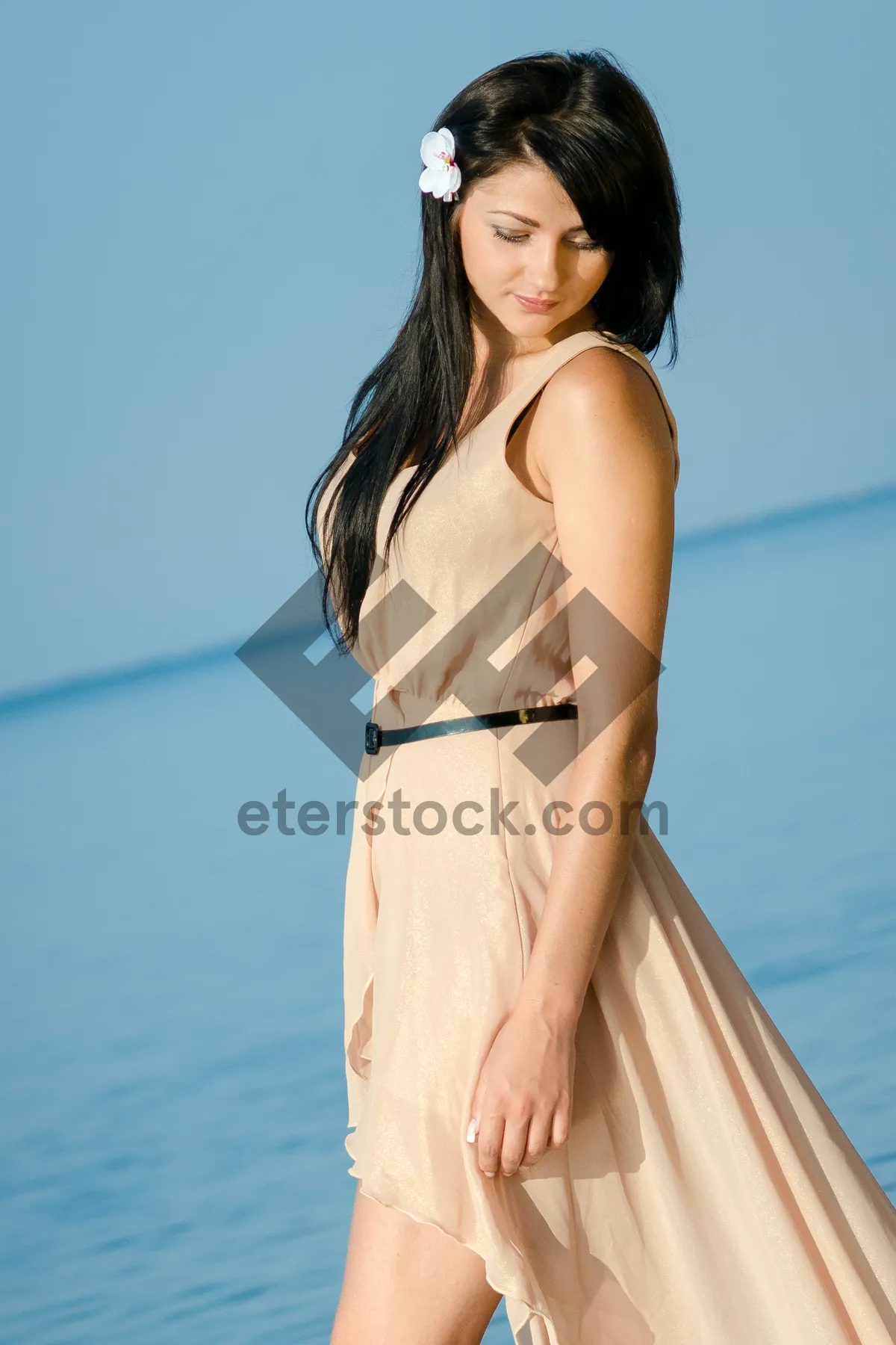 Picture of Attractive brunette model posing in elegant dinner dress