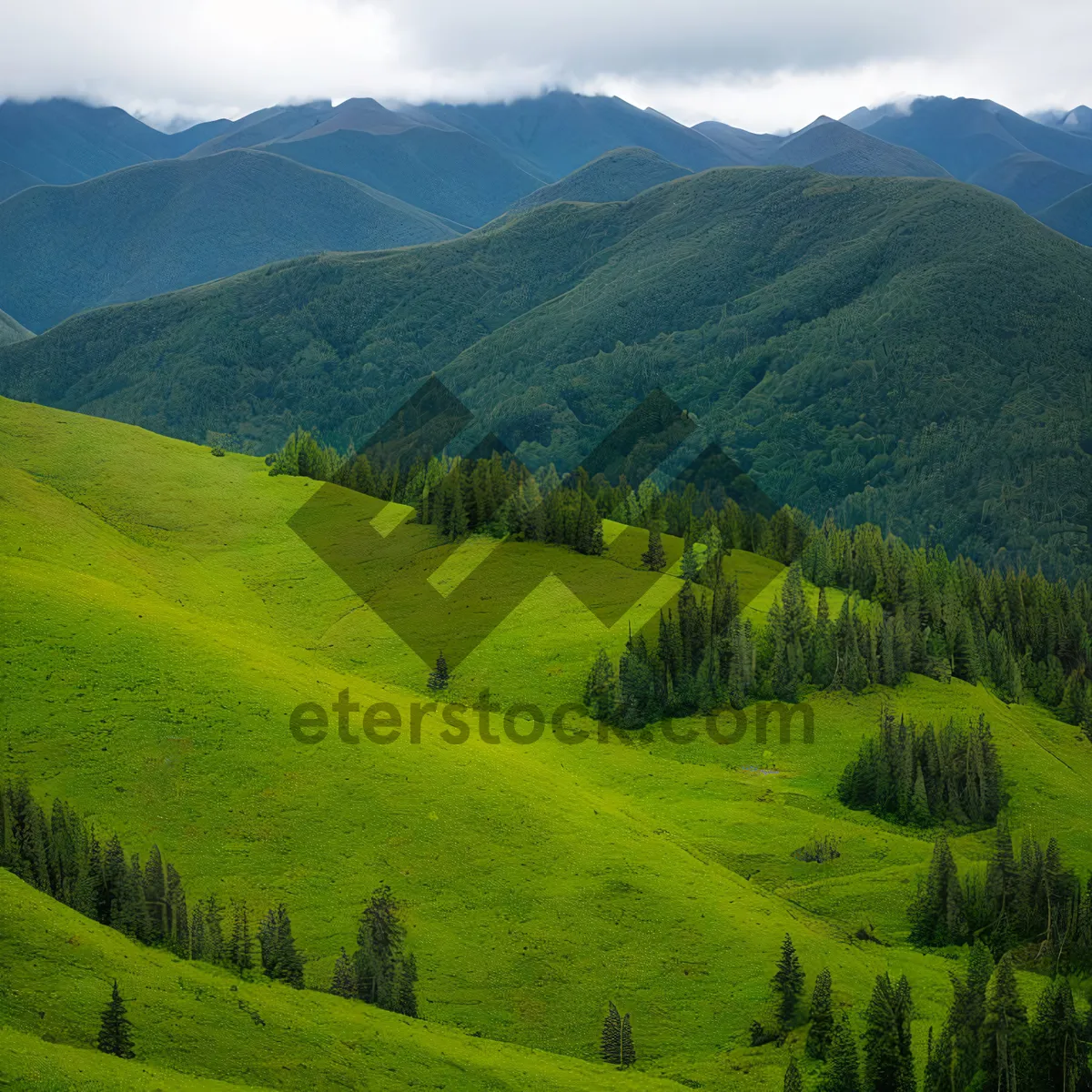 Picture of Idyllic Countryside Farm with Rolling Hills