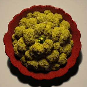 Fresh vegetable plate with broccoli and cauliflower.