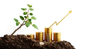 Golden Money Plant Growth in Financial Market